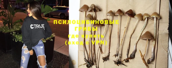 не бодяженный Вязьма