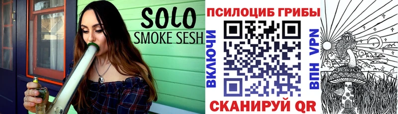 ссылка на мегу ссылки  наркотики  Зеленоградск  Псилоцибиновые грибы Magic Shrooms 